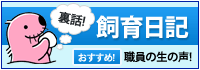 飼育日記