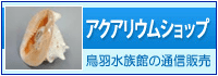 アクアリウムショップ
