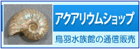 アクアリウムショップ