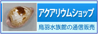 アクアリウムショップ