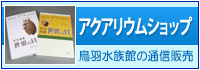アクアリウムショップ