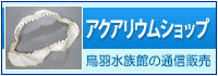 アクアリウムショップ